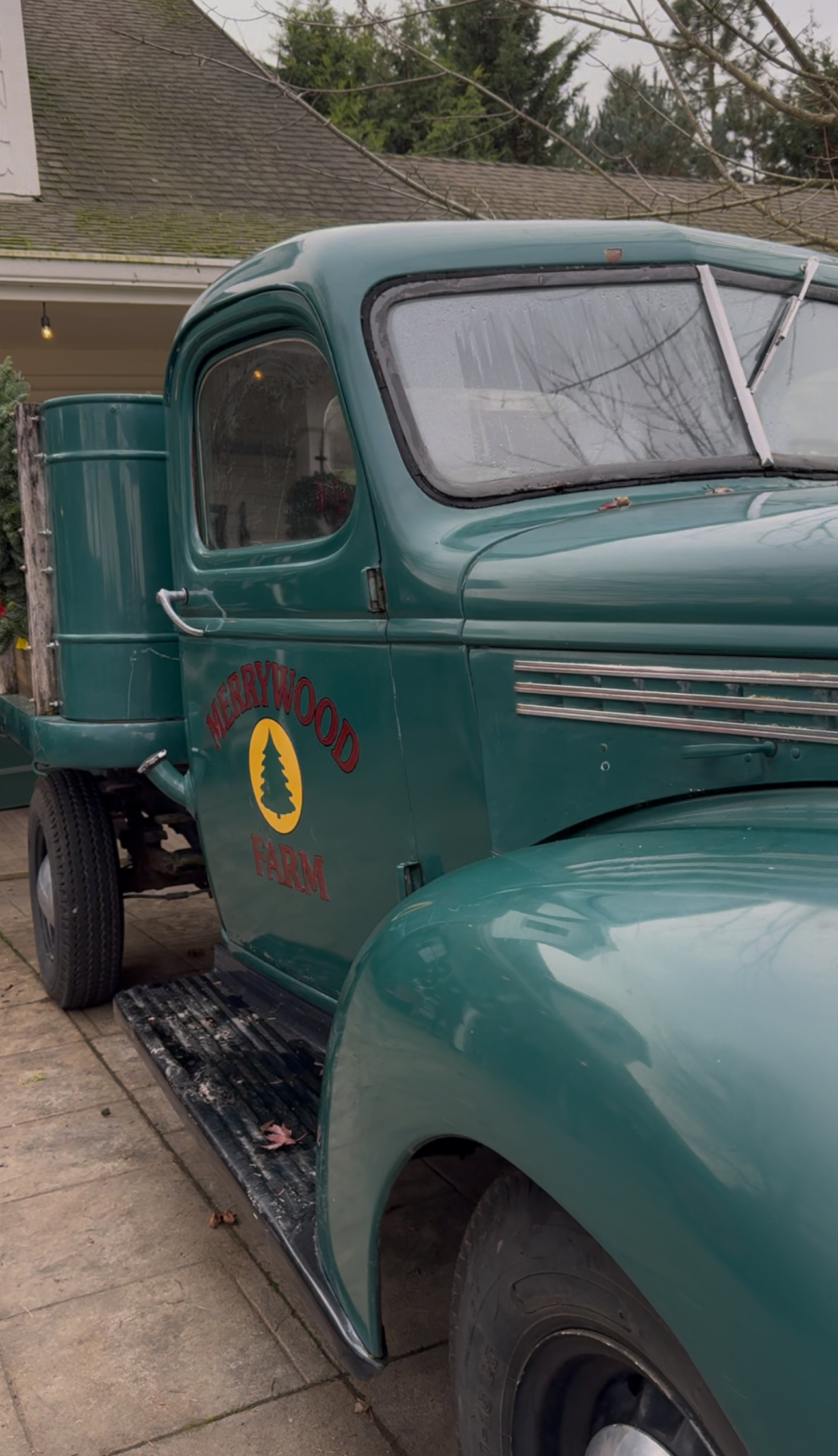 Family enjoying a horse ride through Christmas trees at Merrywood Farm