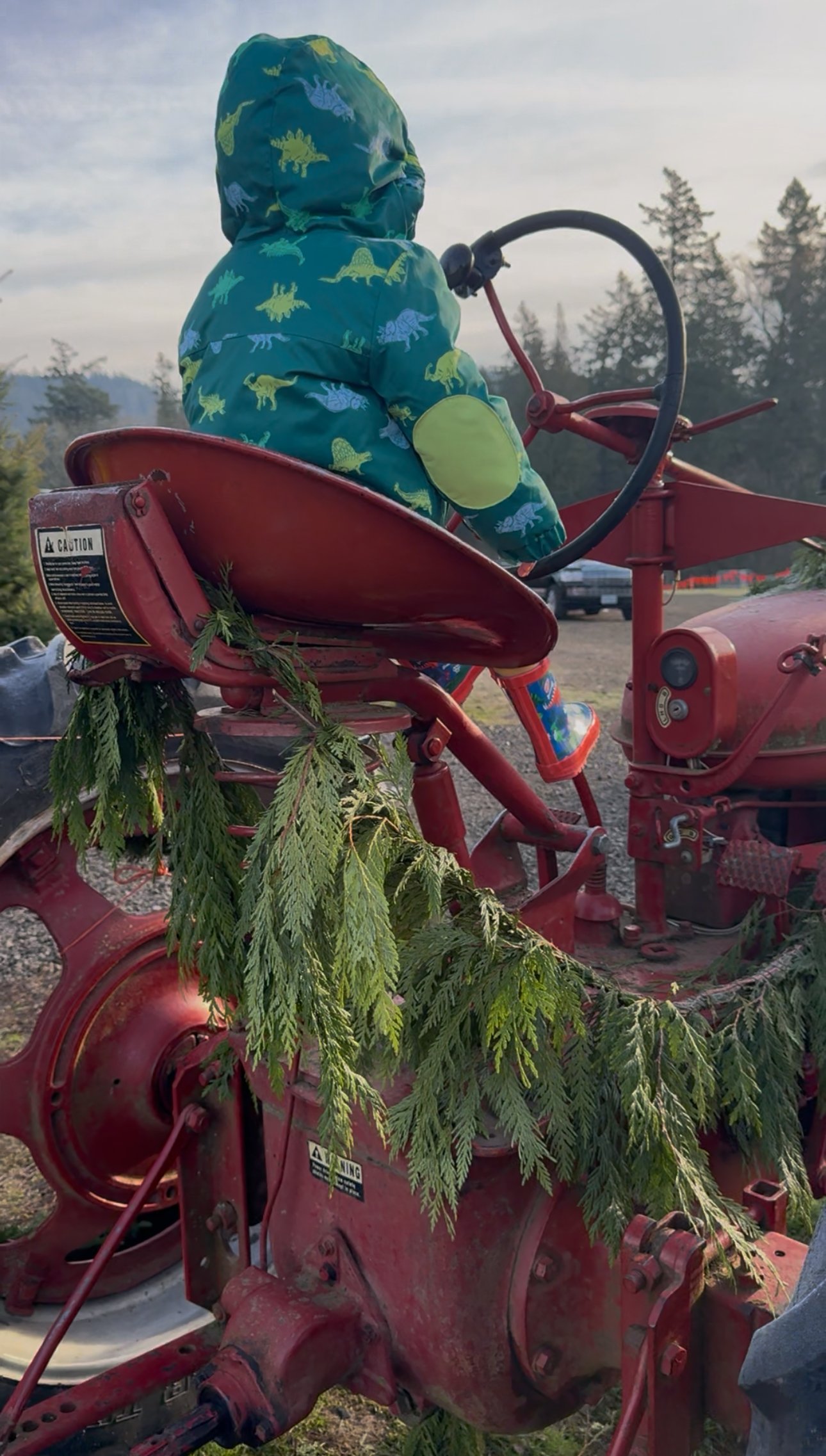 Toddler excited to see camels at Frog Pond Farm