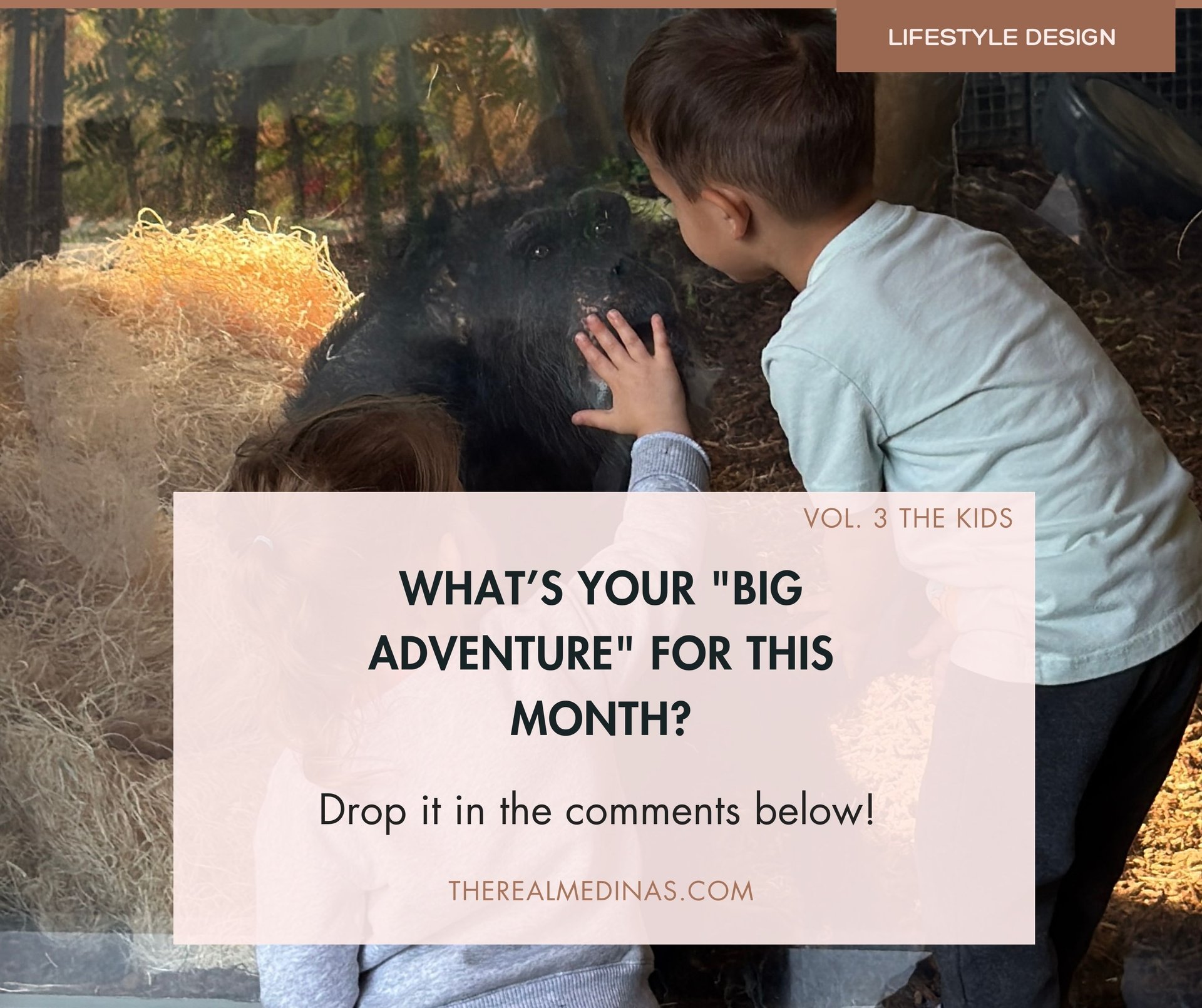 Two kids looking at a chimpanzee through glass at the zoo. What's your big adventure for this month?